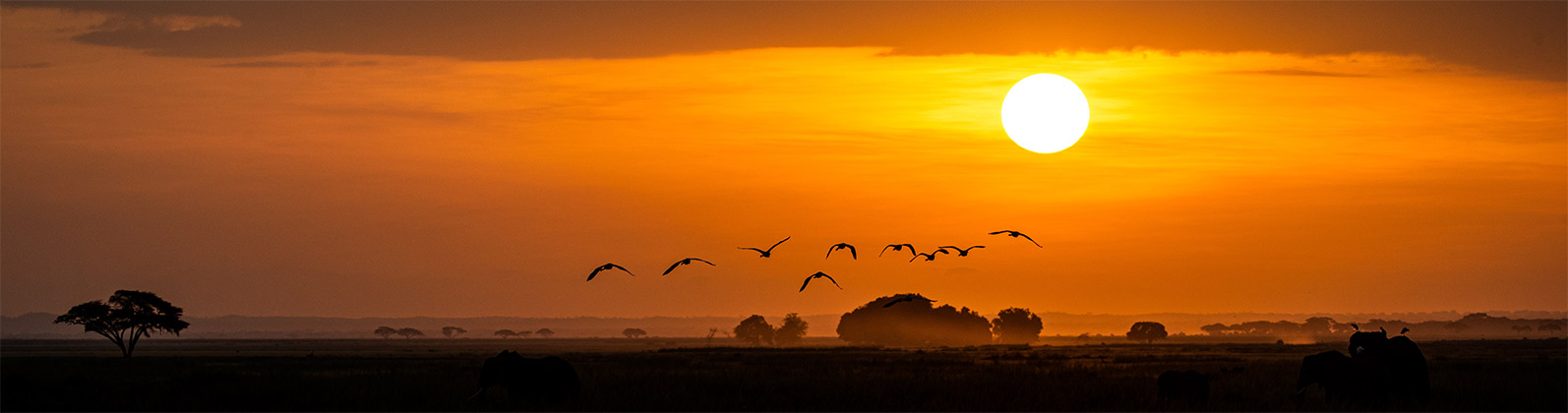 Afrika Übernachtung - Hotel Übernachtung im Hotel